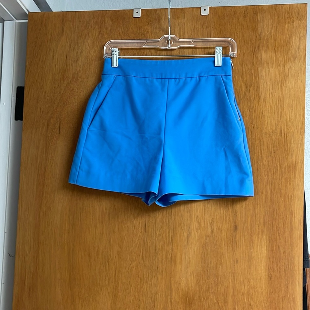 Zara High Waisted Shorts